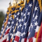 American flags stand in a row.