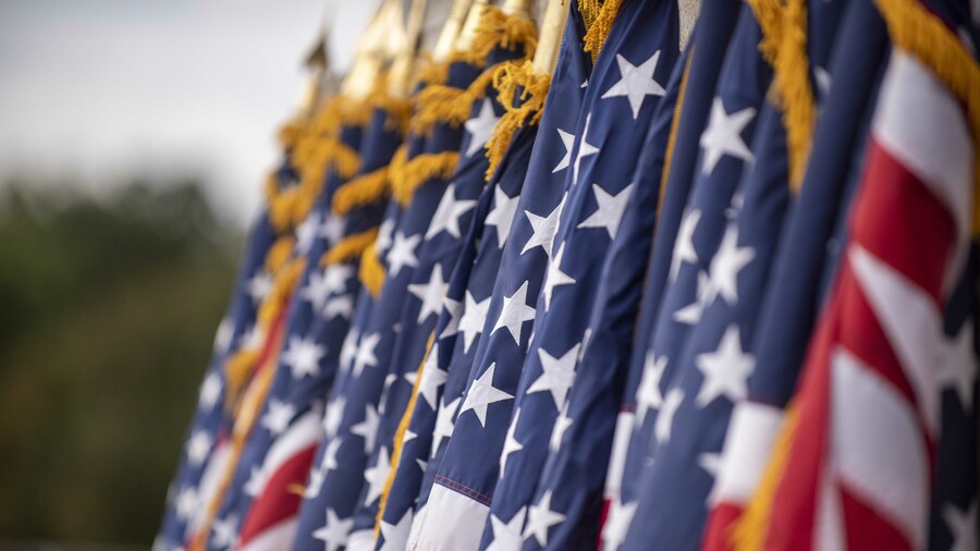 American flags stand in a row.