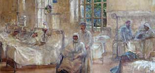 CIS338 Do No Harm Guide to Human Dignity and Morally Sound End of Life Care Cover