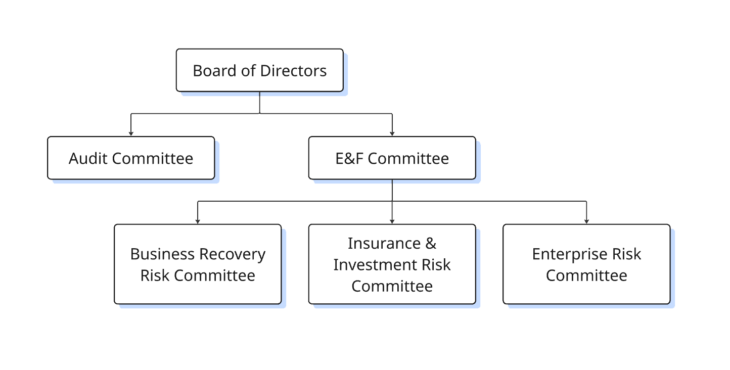 Figure 1 Risk Committee Governance Structure