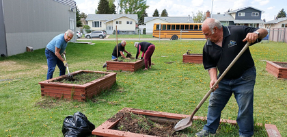 Members of Santa Maria Goretti Council 12836 in Edmonton, Alberta, spread soil and pull weeds from six garden plots in front of St. Anne Catholic Elementary School. The council had donated three of the plots, which the school planted with flowers for the summer.