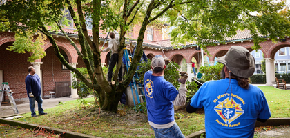 Members of St. Mary’s Cathedral of the Immaculate Conception Council 15295 in Portland, Ore., trim a tree in the cathedral’s courtyard. At the invitation of Msgr. Gerard O’Connor, the cathedral’s rector and council chaplain, the Knights cleared the area around the courtyard’s Marian statue, which had been covered by leaves and branches. (Photo by Jay Fram)