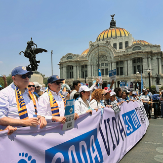 Knights from throughout Mexico and their families march in the National March for Life in Mexico City.