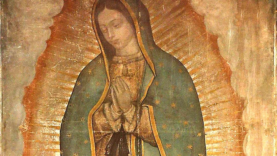 Our Lady of Guadalupe image impressed on the cloak of St. Juan Diego.