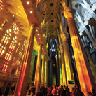 Pilgrims walk beneath the branching columns and stained-glass windows of the Basilica of the Sagrada Família in Barcelona.