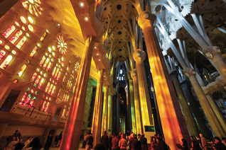 Pilgrims walk beneath the branching columns and stained-glass windows of the Basilica of the Sagrada Família in Barcelona.