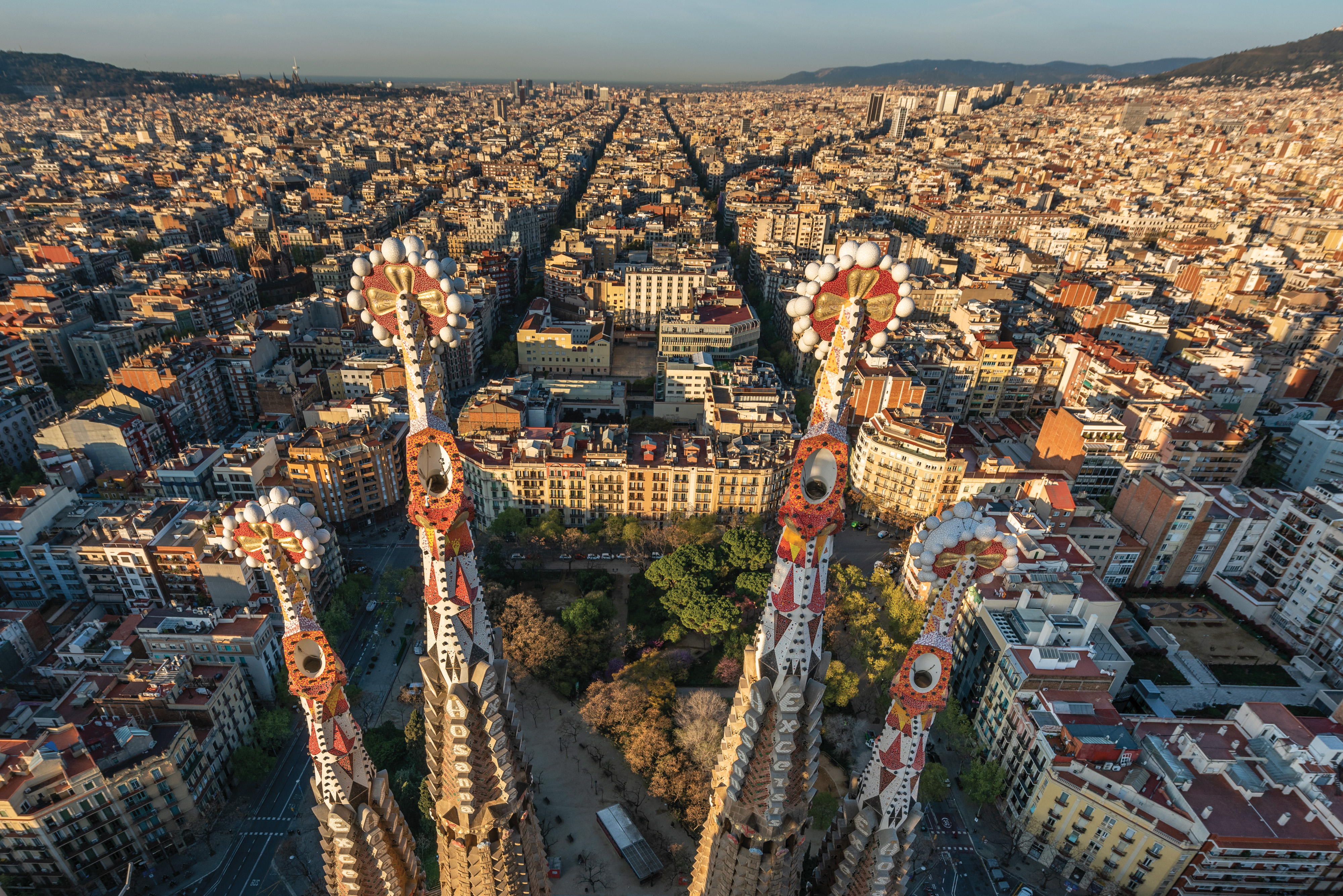 Four of the 18 towers adorning the basilica, topped by Gaud&iacute;&rsquo;s hallmark mosaic pinnacles, rise over Barcelona.