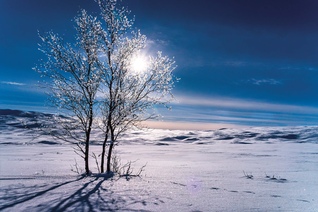 aphrodite74 / E+ via Getty Images