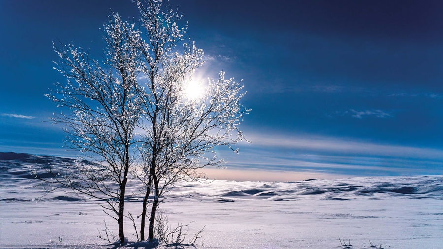 aphrodite74 / E+ via Getty Images