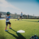 Backyard baseball