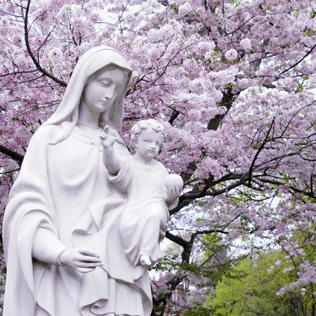 A statue of the Blessed Virgin Mary.