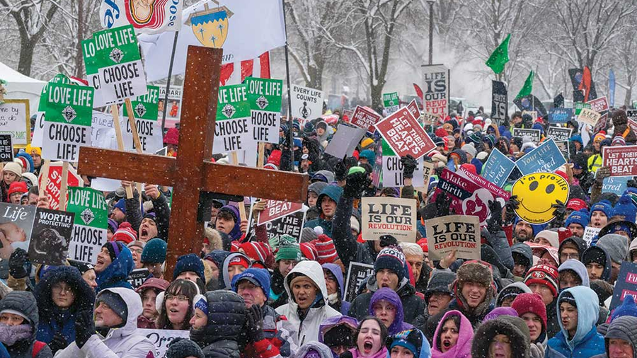 K of C “Love Life, Choose Life” signs are visible amid a colorful display of pro-life placards during the March for Life rally on the National Mall. (Photo by Matthew Barrick)