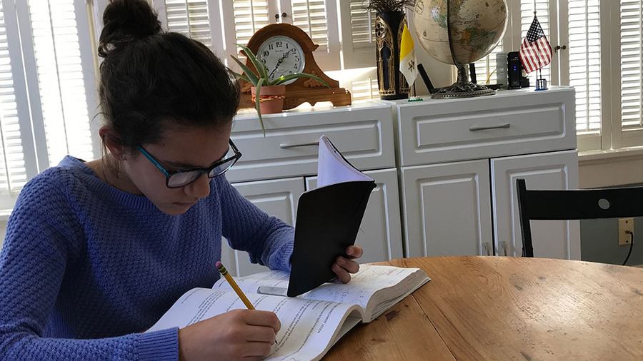 The author’s daughter Maria studies pre-algebra in the family’s school room.