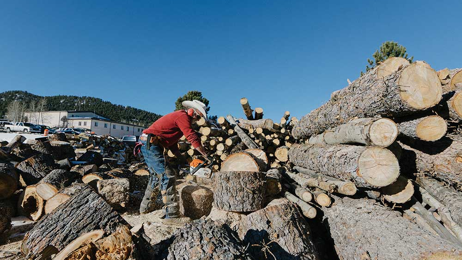 A man with a saw cutting up trees outside
